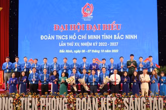 Ban Chấp hành Đoàn Thanh niên Cộng sản Hồ Chí Minh tỉnh khóa XV, nhiệm kỳ 2022-2027 gồm 31 thành viên.