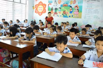 Quảng Ngãi yêu cầu bảo đảm tỷ lệ bao phủ vaccine trước khi bắt đầu năm học mới 2022-2023.