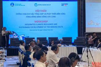 Quang cảnh hội thảo.