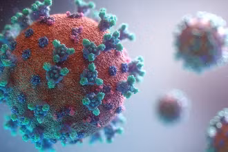 (Ảnh minh họa)