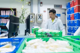 Nhân viên Viện Huyết học-Truyền máu Trung ương chuẩn bị huyết tương để cung cấp cho các cơ sở y tế.
