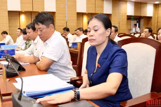 100% đại biểu có mặt đã biểu quyết thông qua Nghị quyết. (Ảnh: DUY LINH)