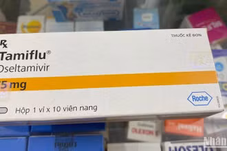 Tamiflu là một loại thuốc kháng virus được kê để điều trị bệnh cúm mùa.