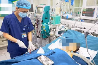 Bệnh nhi suy đa tạng vì bị ong đốt.