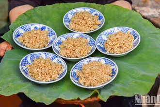 (Ảnh: NAM NGUYỄN - NHẬT QUANG)