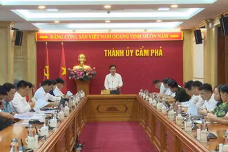 Ban Thường vụ Thành ủy Cẩm Phả họp triển khai công việc.