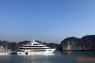 Đón khách lên du thuyền ở Cát Bà.
