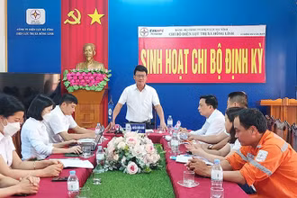 Buổi sinh hoạt định kỳ của Chi bộ Điện lực thị xã Hồng Lĩnh (Hà Tĩnh). (Ảnh HUYỀN TRANG)