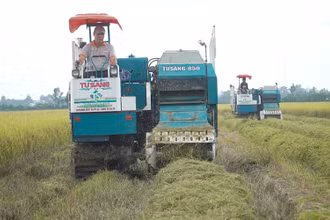 Máy cuộn rơm tại mô hình canh tác lúa thông minh ở xã Vị Trung, huyện Vị Thủy, tỉnh Hậu Giang.