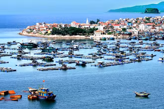 Xã đảo Nghi Sơn, thị xã Nghi Sơn, tỉnh Thanh Hóa.