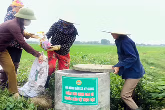 Hội viên Hội Nông dân xã Kỳ Giang, huyện Kỳ Anh, tỉnh Hà Tĩnh thu gom vỏ thuốc bảo vệ thực vật trên đồng ruộng. (Ảnh PHAN LÝ)