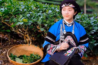 Lồ Phà Tú Anh là cô gái Bố y, cũng là tác giả của clip giành giải nhất Cuộc thi “Tinh hoa Việt Nam”.