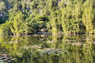 Ao hoa súng tại Hoa Lư, Ninh Bình.