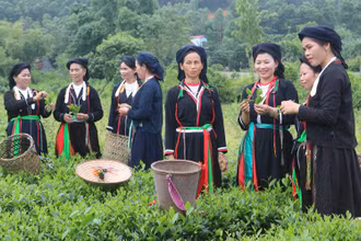Trong năm 2022, tỉnh Thái Nguyên đầu tư hơn 287 tỷ đồng xây dựng hạ tầng và hỗ trợ phát triển sản xuất.