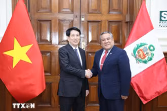 Chủ tịch nước Lương Cường hội kiến Chủ tịch Hội đồng Bộ trưởng Peru Gustavo Adrian Adrianzén.