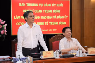 Đồng chí Trần Tuấn Anh phát biểu tại buổi làm việc.