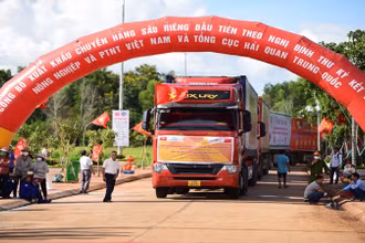 Xuất khẩu sầu riêng sang Trung Quốc.