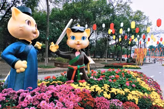 Một góc đường hoa Xuân.