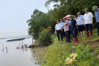 Chủ tịch Uỷ ban nhân dân tỉnh Hải Dương Triệu Thế Hùng kiểm tra điểm sạt lở kè sông Thái Bình tại huyện Thanh Hà.