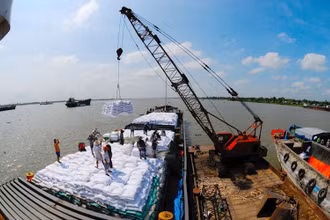 Xuất khẩu gạo có nhiều tín hiệu vui.
