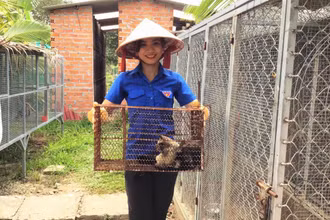 Phan Lê Thúy Vi khoe cặp chồn hương sinh sản. 