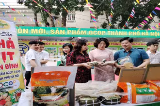 Giới thiệu sản phẩm.