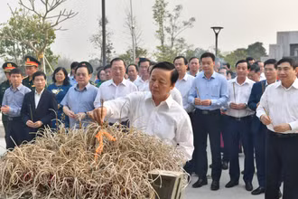 Phó Thủ tướng Trần Hồng Hà và các đại biểu dâng hương tưởng niệm các Anh hùng liệt sĩ tại Đền thờ các Anh hùng liệt sĩ hy sinh tại chiến trường Điện Biên Phủ. 