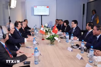 Chủ tịch nước Lương Cường tiếp lãnh đạo doanh nghiệp tiêu biểu Peru.