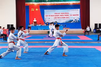 Các vận động viên sổi nổi tranh tài tại giải.