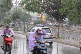 Ảnh minh họa.