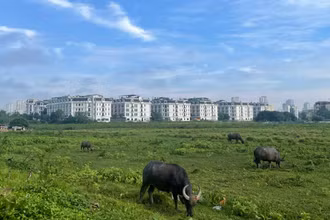 Dự báo khu vực Hà Nội ngày nắng, có nơi nắng nóng. (Ảnh minh họa: Đ.T)