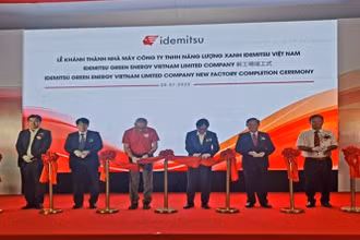 Khánh thành nhà máy chế biến gỗ, sản xuất nhiên liệu sinh học rắn tại thị xã Hoài Nhơn. 