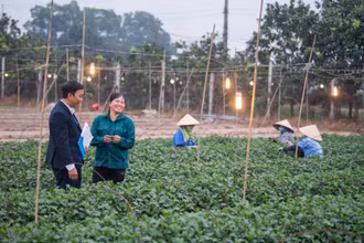Cán bộ TYM - Chi nhánh Mê Linh đến thăm mô hình trồng hoa và cây giống của chị Nguyễn Thị Thập.