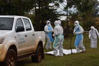 Tanzania xác nhận đợt bùng phát virus Marburg. (Ảnh: WHO)