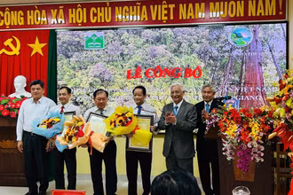 Lễ công nhận cây di sản Việt Nam.