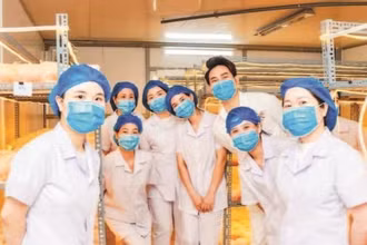 Khu nuôi cấy đông trùng hạ thảo của Mailands.