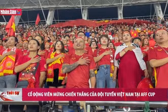 Cổ động viên mừng chiến thắng của Đội tuyển Việt Nam tại AFF Cup