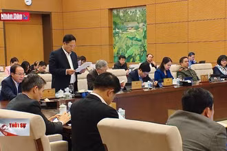 Đưa trẻ vị thành niên giáo dục tại cộng đồng do tòa án quyết định