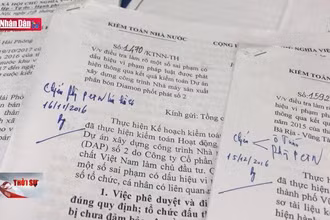 Đề nghị giảm số lượng các cuộc kiểm toán doanh nghiệp