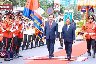 Nâng tầm hợp tác song phương, thúc đẩy đoàn kết và phát triển khu vực