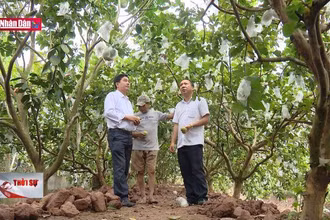Phát huy tinh thần dám nghĩ, dám làm của người đứng đầu