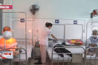 Nhiều bệnh viện gặp khó do thiếu thuốc Y học cổ truyền