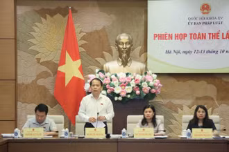 Chủ nhiệm Ủy ban Pháp luật Hoàng Thanh Tùng phát biểu tại phiên họp. 