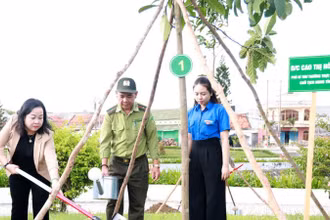 Lãnh đạo tỉnh Phú Yên tham gia trồng cây xanh tại khu vực công viên hồ điều hòa Hồ Sơn, thành phố Tuy Hòa.