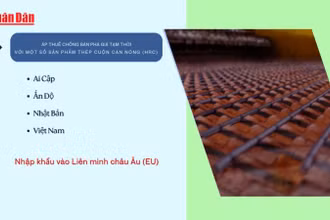 [Video] EU áp thuế chống bán phá giá tạm thời với một số sản phẩm thép cuộn cán nóng của Việt Nam 