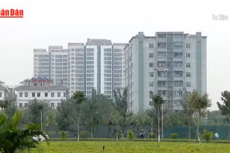 [Video] Từ 1/5: Giá dịch vụ quản lý chung cư tại Hà Nội cao nhất là 16.500 đồng/m2/tháng