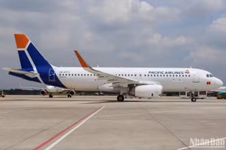 Vietnam Airlines đang từng bước tái cơ cấu thành công Pacific Airlines.