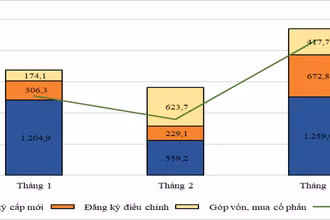 Cơ cấu vốn đầu tư nước ngoài 3 tháng đầu năm và cách thức đầu tư vốn