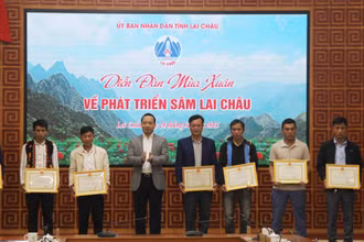 UBND tỉnh Lai Châu đã tặng Bằng khen cho tập thể, cá nhân đã có thành tích tiêu biểu, xuất sắc trong bảo tồn và phát triển Sâm Lai Châu.