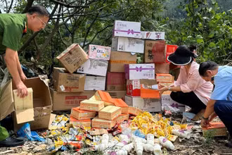 Cơ quan chức năng tiến hành tiêu hủy số hàng hóa không bảo đảm trên.